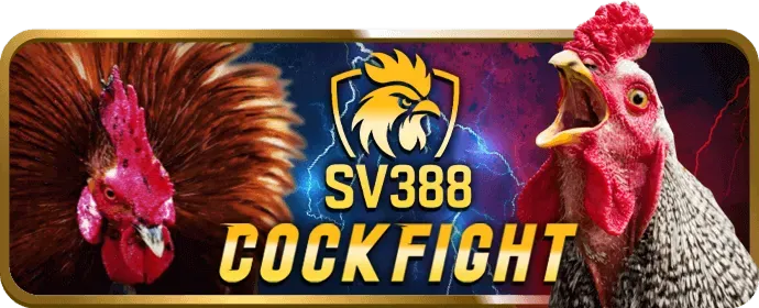 Bảo mật và An toàn tại F66